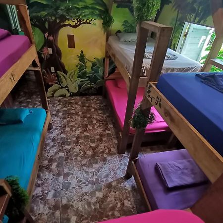Oasis Beachfront Hostel ปูแอร์โตลีมอน ภายนอก รูปภาพ