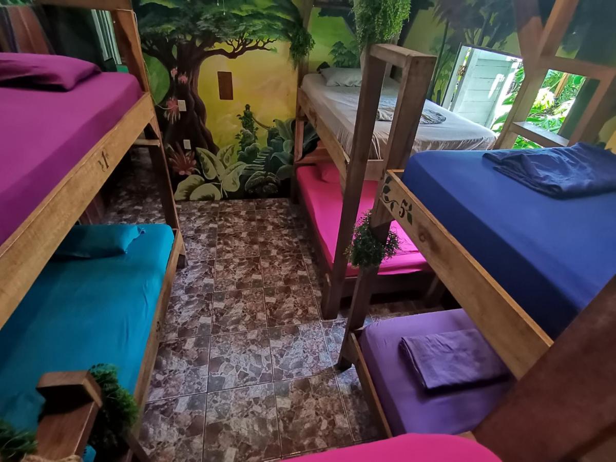 Oasis Beachfront Hostel ปูแอร์โตลีมอน ภายนอก รูปภาพ