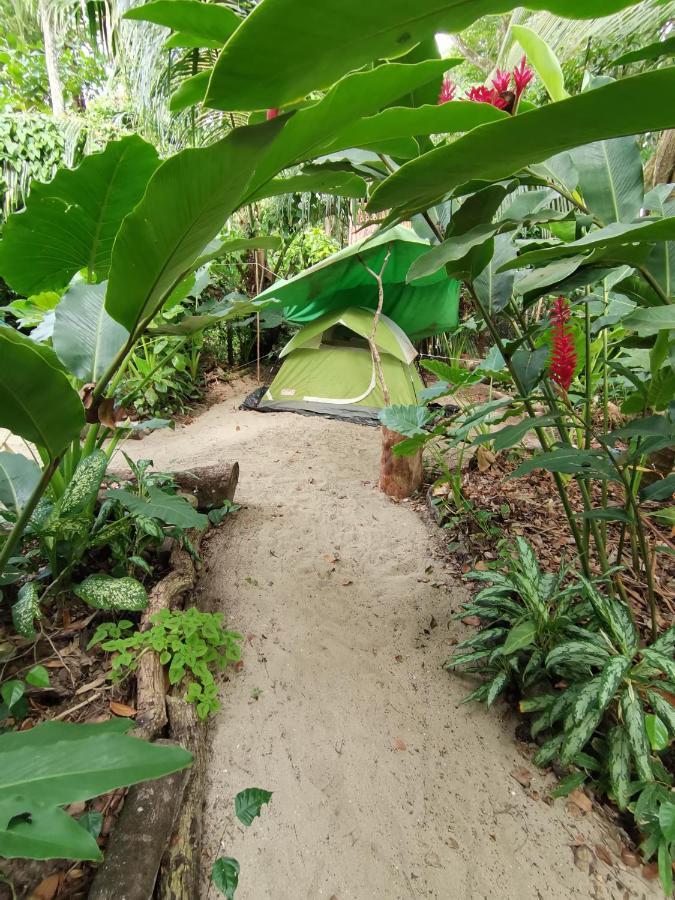 Oasis Beachfront Hostel ปูแอร์โตลีมอน ภายนอก รูปภาพ