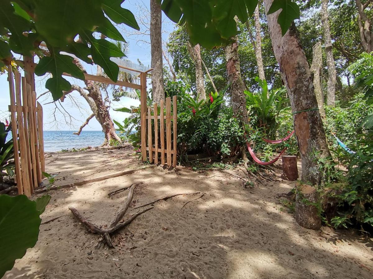 Oasis Beachfront Hostel ปูแอร์โตลีมอน ภายนอก รูปภาพ