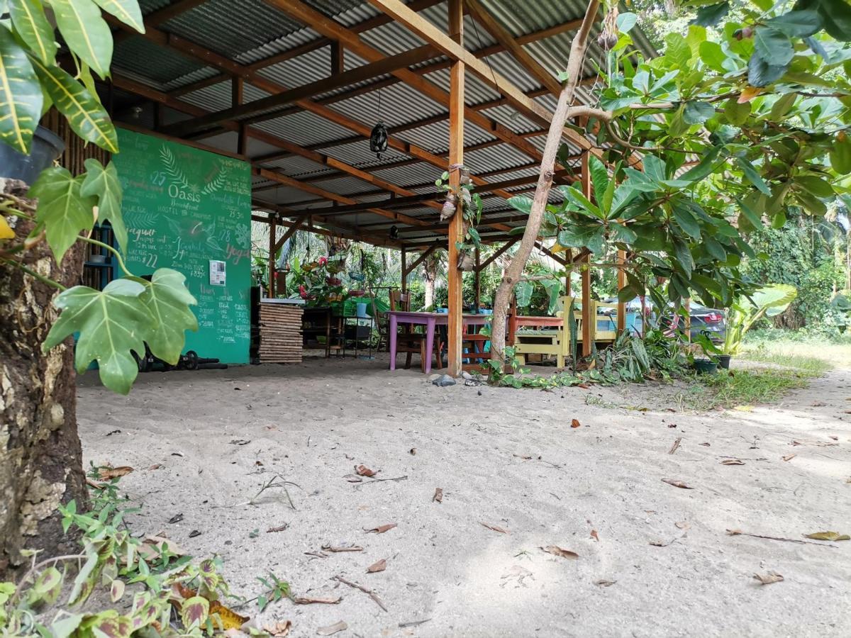 Oasis Beachfront Hostel ปูแอร์โตลีมอน ภายนอก รูปภาพ