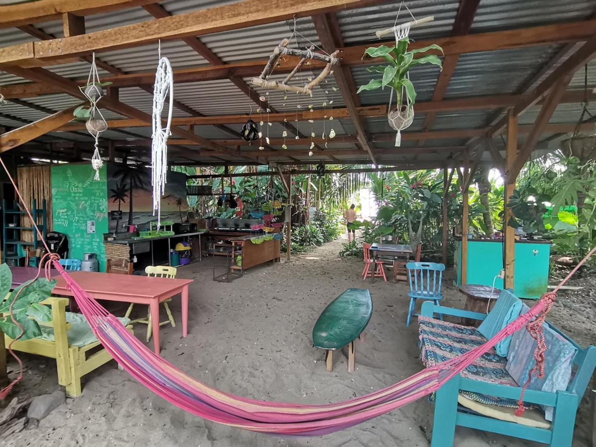 Oasis Beachfront Hostel ปูแอร์โตลีมอน ภายนอก รูปภาพ