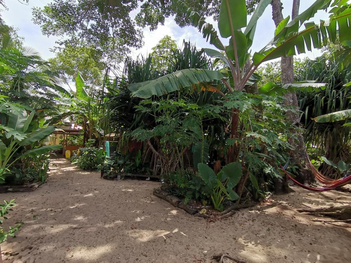 Oasis Beachfront Hostel ปูแอร์โตลีมอน ภายนอก รูปภาพ